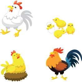 Kit 4 Stickers poule animaux de la ferme