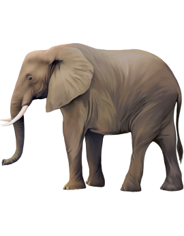 Sticker éléphant d'Afrique réaliste