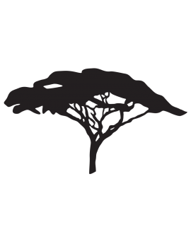 Sticker arbre savane Afrique