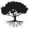 Sticker arbre racine