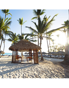 Tableau République Dominicaine plage