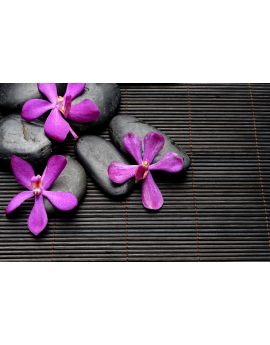 Tableau zen galets fleurs