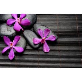 Tableau zen galets fleurs
