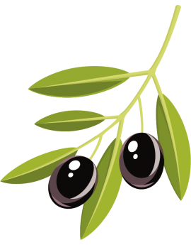 Sticker branche d'olivier