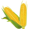 Sticker cuisine maïs