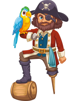 Stickers pirate perroquet garçon