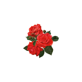 Stickers Fleur rose rouge 