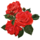 Stickers Fleur rose rouge 