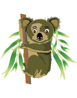 Stickers koala sur branche 