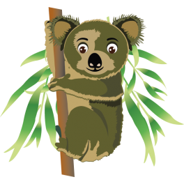 Stickers koala sur branche 
