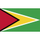 Stickers drapeau GUYANE