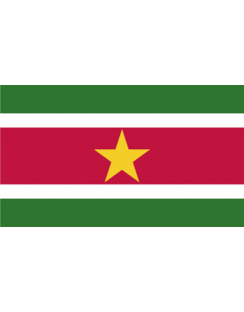 Stickers drapeau SURINAME