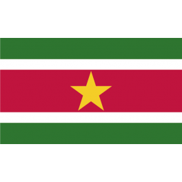 Stickers drapeau SURINAME