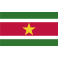 Stickers drapeau SURINAME