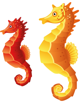 Stickers 2 hippocampes rouge et orange