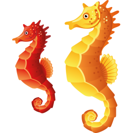 Stickers 2 hippocampes rouge et orange