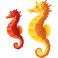 Stickers 2 hippocampes rouge et orange