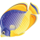  Stickers poisson jaune et bleue