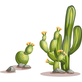 Stickers kit cactus 