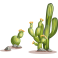 Stickers kit cactus 