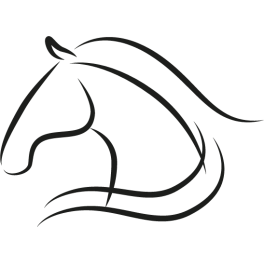 Stickers tête de cheval design moderne
