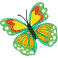 Stickers papillon vert enfant fille