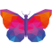 Stickers papillon polygonal moderne design multicolore
