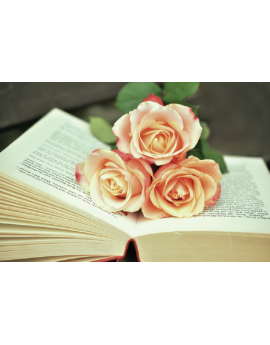 Poster roses sur un livre