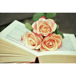 Poster roses sur un livre
