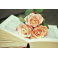 Poster roses sur un livre