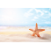 Poster étoile de mer sur le sable