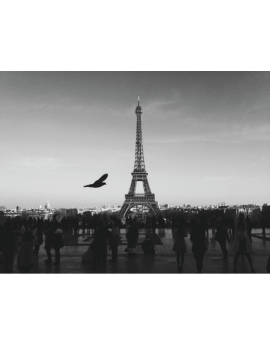 Poster Tour Eiffel noir et blanc