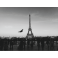 Poster Tour Eiffel noir et blanc