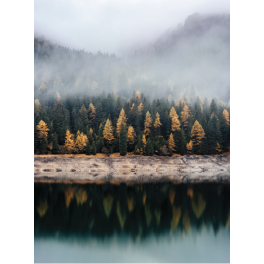 Poster forêt au bord d'un lac