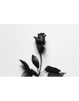 Poster rose noir et blanc