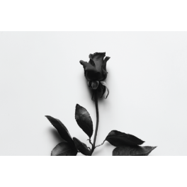 Poster rose noir et blanc