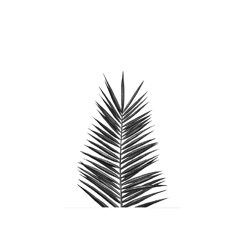 Poster feuille de palmier noir et blanc - Color-stickers