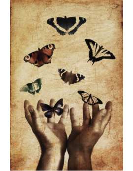 Poster mains jetant des papillions