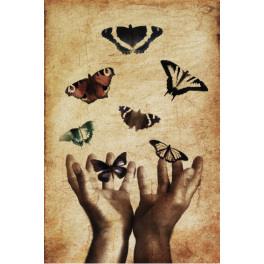 Poster mains jetant des papillions