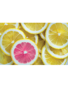 Poster rondelles de citron