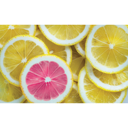 Poster rondelles de citron