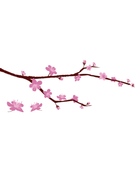 Sticker branche cerisier