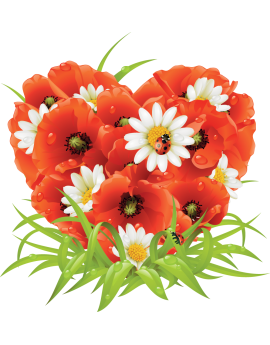 Sticker bouquet de fleurs coquelicot