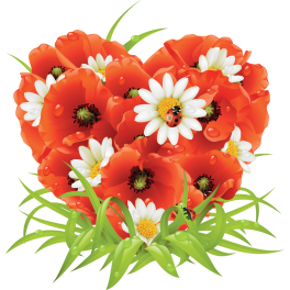 Sticker bouquet de fleurs coquelicot