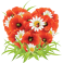 Sticker bouquet de fleurs coquelicot