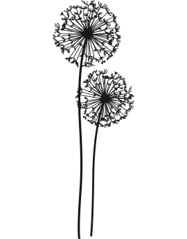 Sticker fleur pissenlit